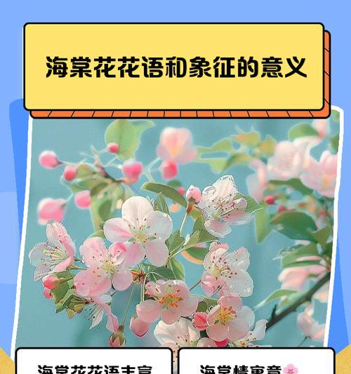 哪些花象征严格？它们的花语和意义是什么？