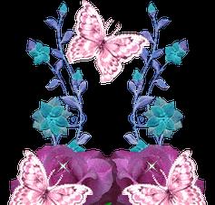 花与蝴蝶相吻代表什么？花吻蝴蝶的寓意是什么？