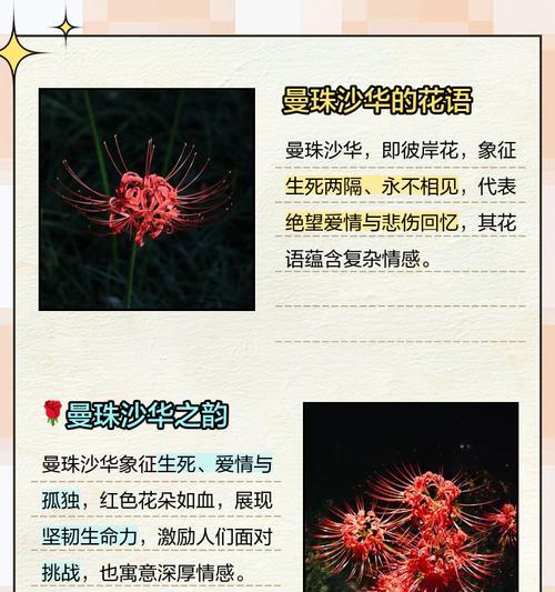 沙盘里的花在心理治疗中含义是什么？
