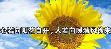 花不送人的深层含义是什么？