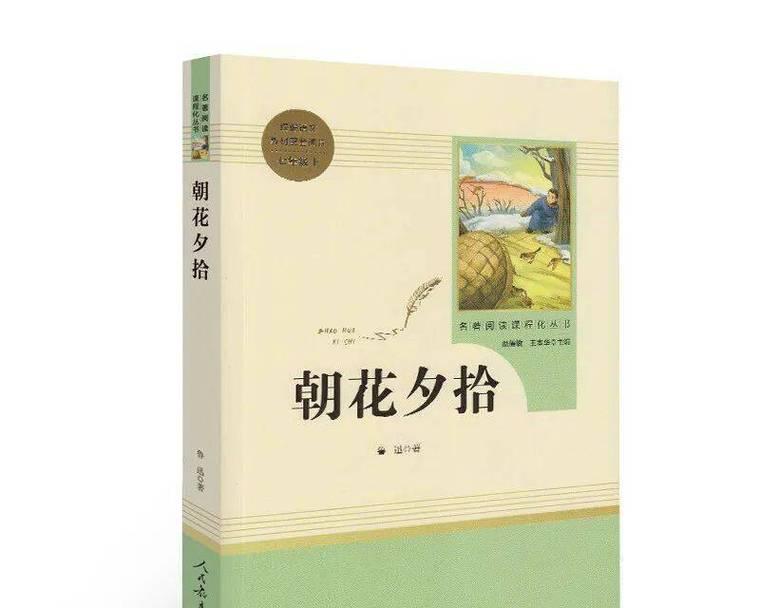 鲁迅相关的花朵及其象征意义是什么？