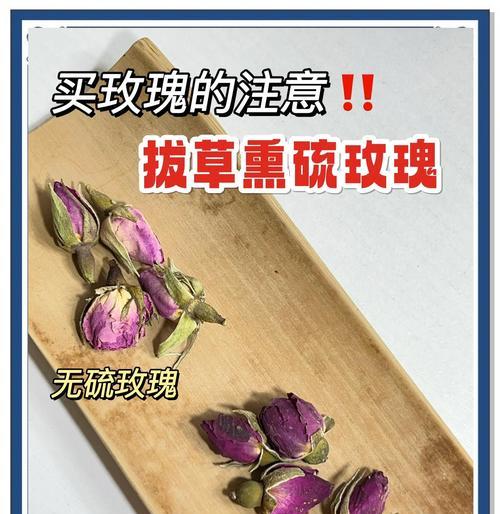印度文化中玫瑰花有何特殊含义？玫瑰花在印度文化中的地位如何？