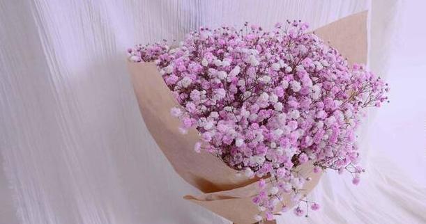 象征内向的花有哪些？这些花代表了什么？