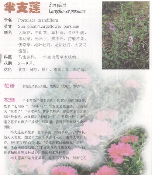 蹂躏娇花的行为代表什么？