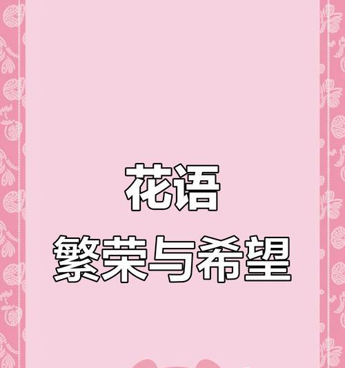 哪些花象征坚韧乐观？哪种花卉代表乐观向上的精神？
