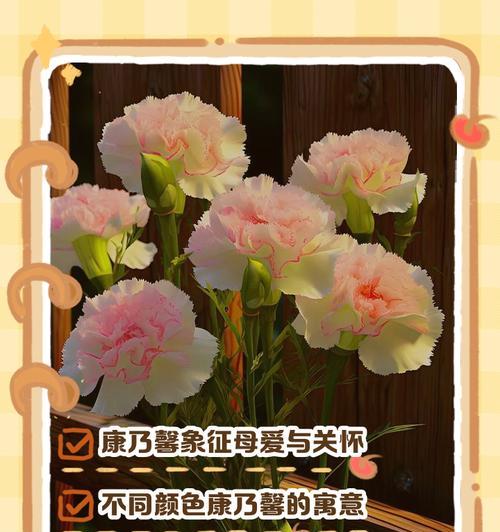12朵康乃馨的花语是什么？代表了哪些特别含义？