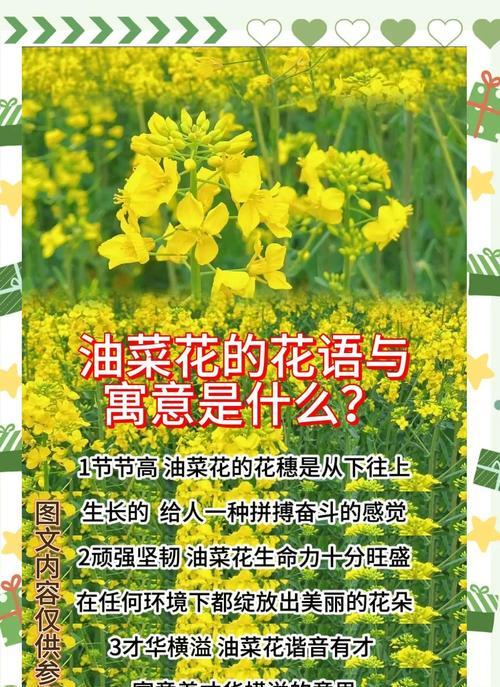 别样花的象征意义是什么？别样花的花语解读是什么？