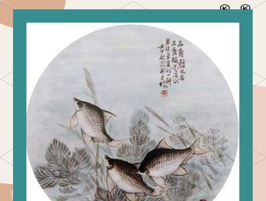 花与鱼共同寓意着什么？花与鱼组合象征意义探索。