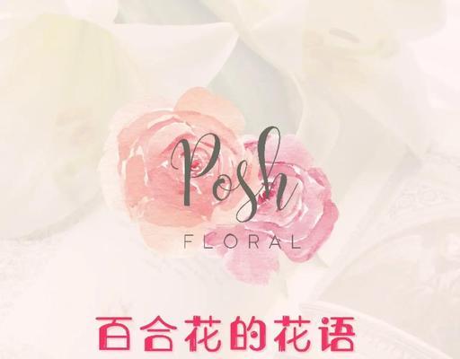百合花的花语有哪些？