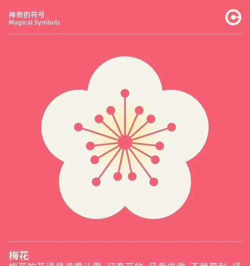 结束象征的花有哪些？它们代表了什么意义？