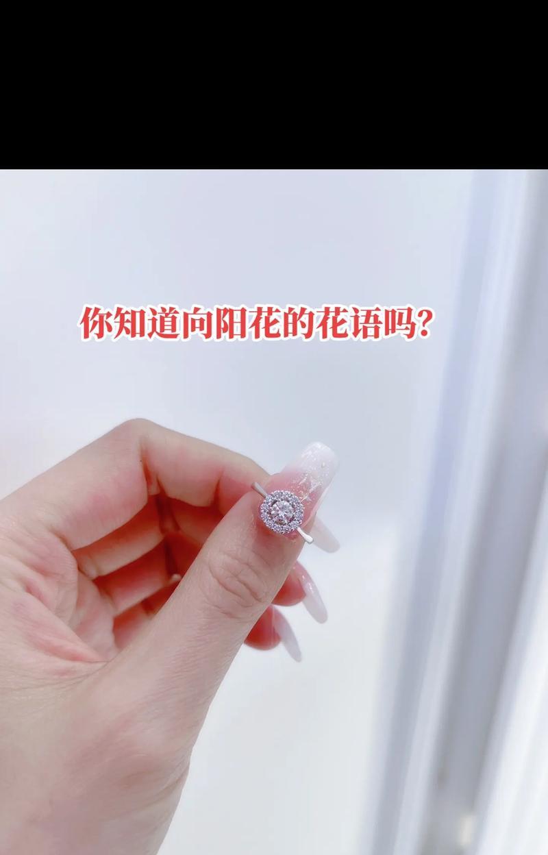 向阳花语有何含义？它象征着什么？