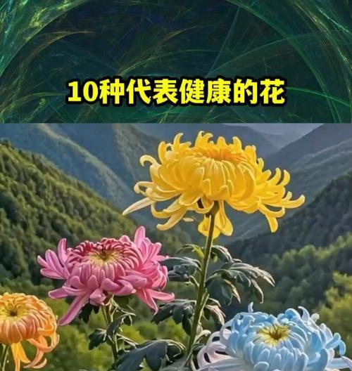哪种花代表挽留？它如何表达不舍之情？
