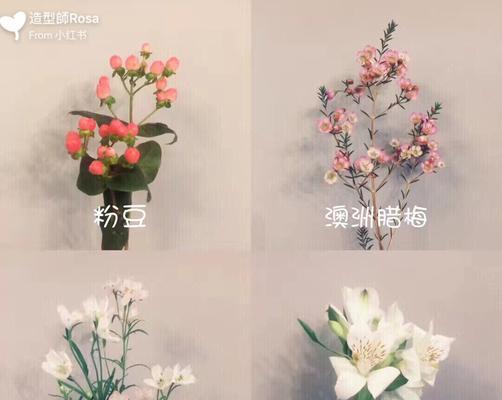 灵牌上放什么花好？花的种类和寓意是什么？