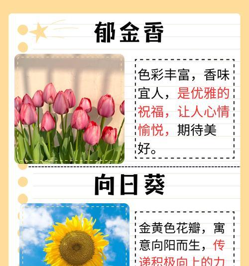 哪些花卉常用来传递正面信息？