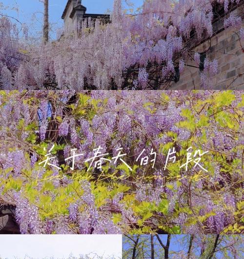南京花语江南是什么意思？南京花语江南有何寓意？