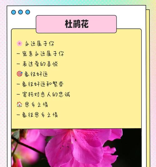 如何选择寓意积极的花卉？有哪些技巧？