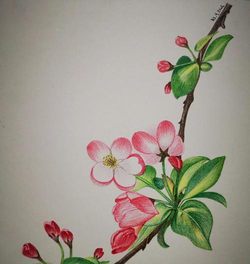 简单花的寓意及花语是什么？简单花卉的象征意义有哪些？