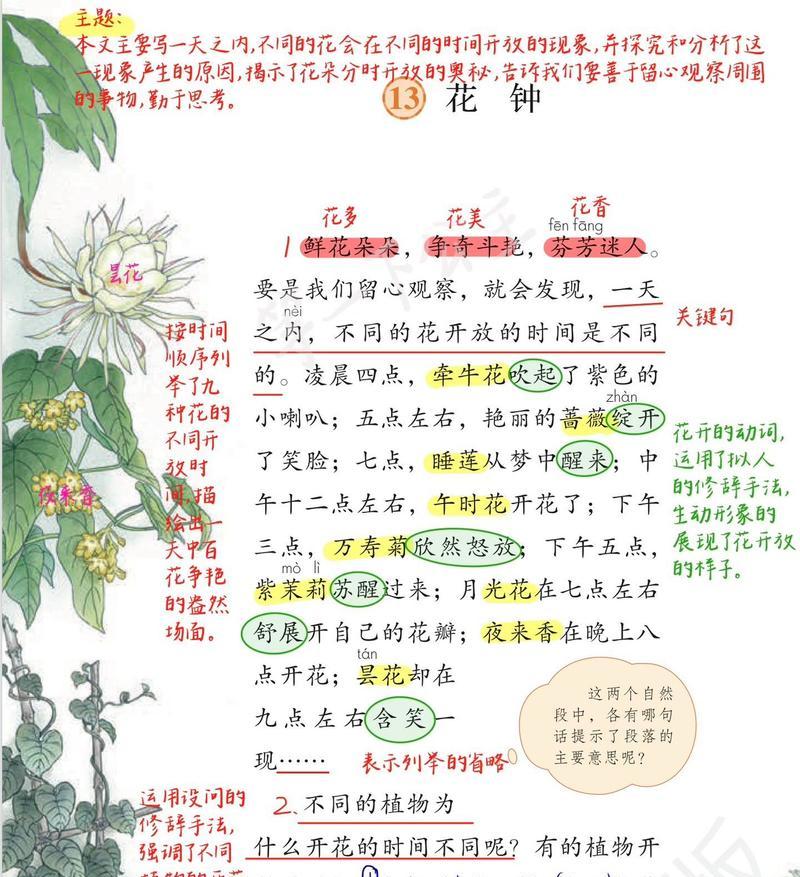 每种花的含义和花期是什么？