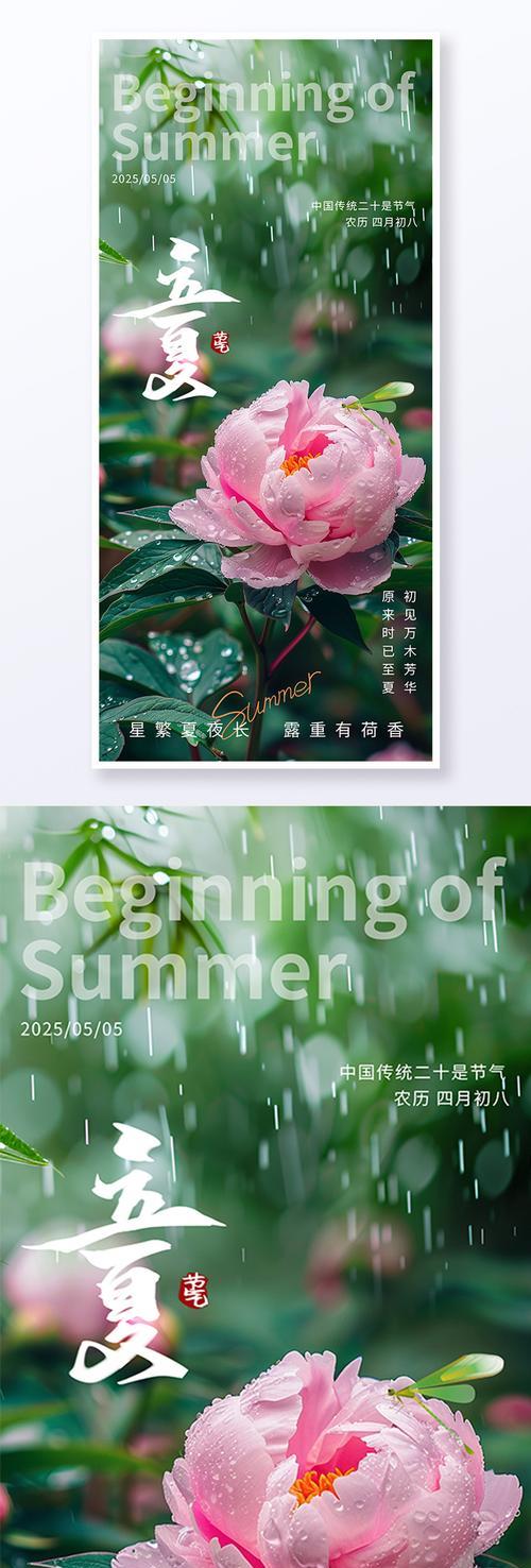 节气与花的寓意之间有什么联系？它们在传统中扮演什么角色？