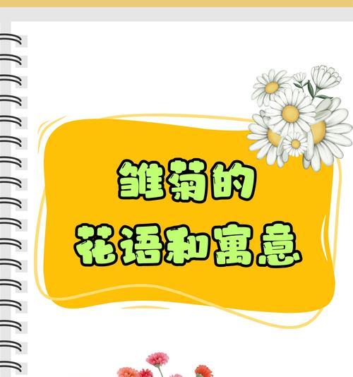 白色雏菊的花语有哪些含义？