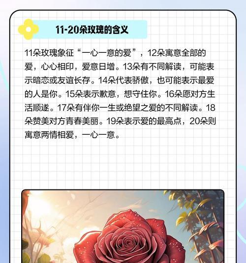玫瑰花代表的含义有哪些？