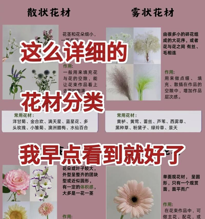 常见花材的特征和含义是什么？
