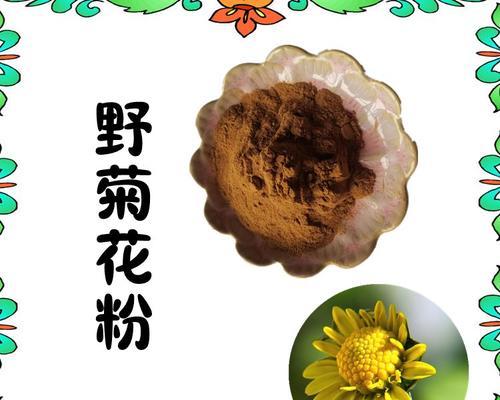 粉菊花的花语有哪些特别之处？代表什么含义？