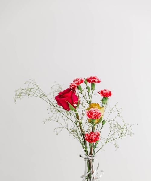 给老师的花有哪些寓意？如何选择寓意好的给老师花？