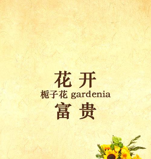 栀子花的花语及其象征意义是什么？
