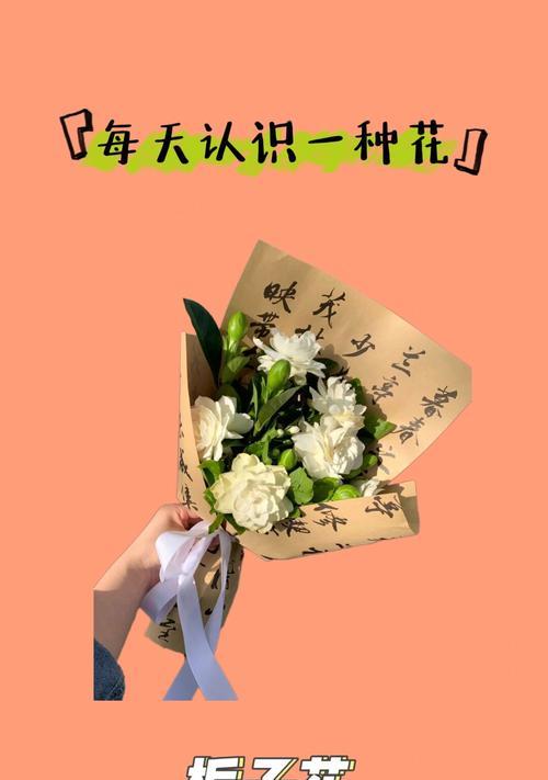 栀子花的花语及其象征意义是什么？