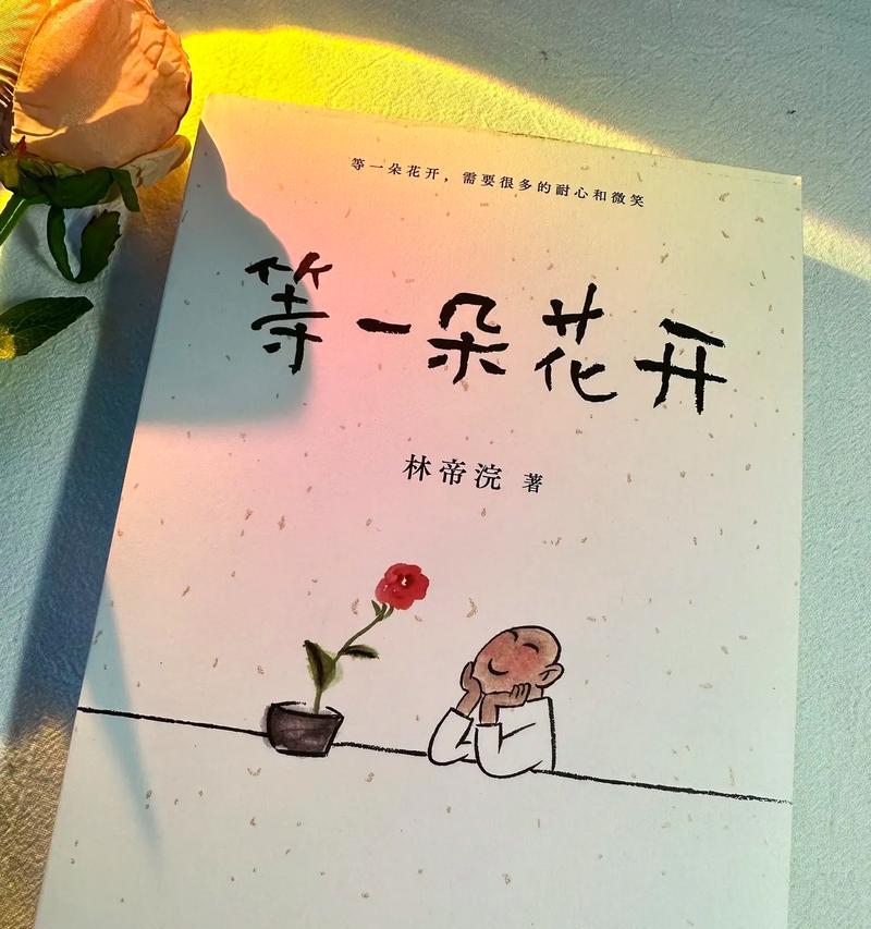 三朵花的寓意和背后的故事是什么？