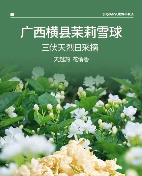 三朵花的寓意和背后的故事是什么？