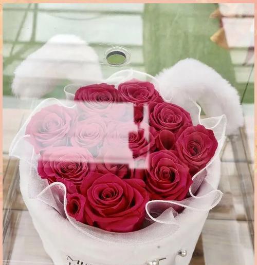 永生花的花语有何深意？它象征着什么？