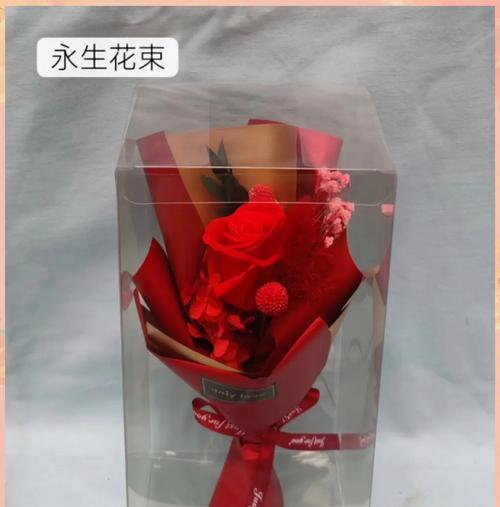 永生花的花语有何深意？它象征着什么？