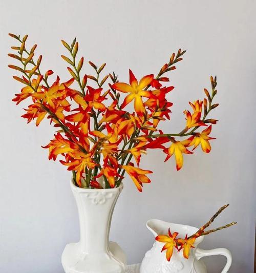 家庭插花象征性花朵有哪些？