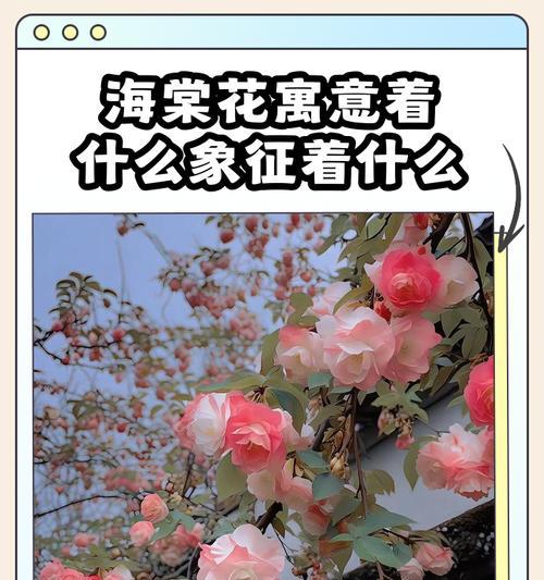 花的寓意有哪些？花卉语言的深层含义是什么？