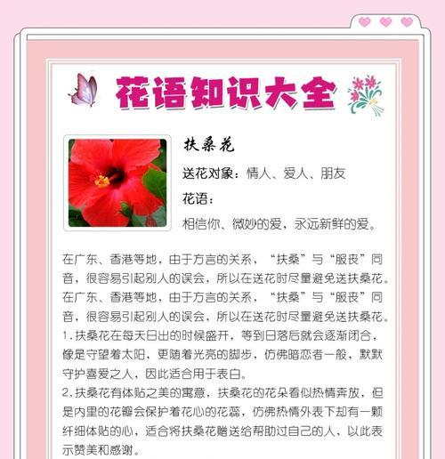 五月盛开的花朵有哪些？各自的花语含义是什么？