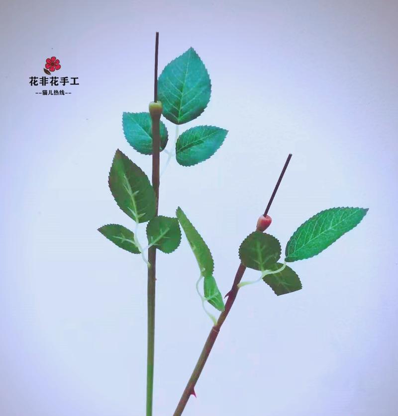 手工花品种中哪些寓意美好？它们各自代表了什么？