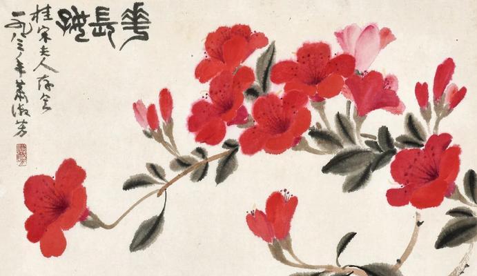 哪些花朵象征萧逸？它们的寓意是什么？