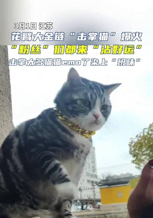 动物象征努力花臂的寓意是什么？