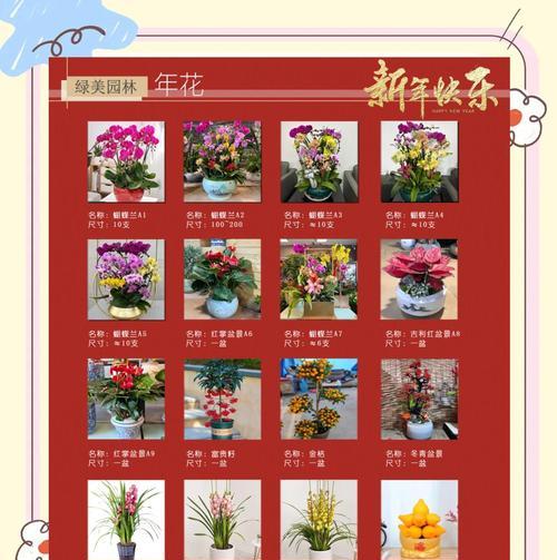 生辰花的寓意是什么？如何选择具有特别寓意的生辰花？