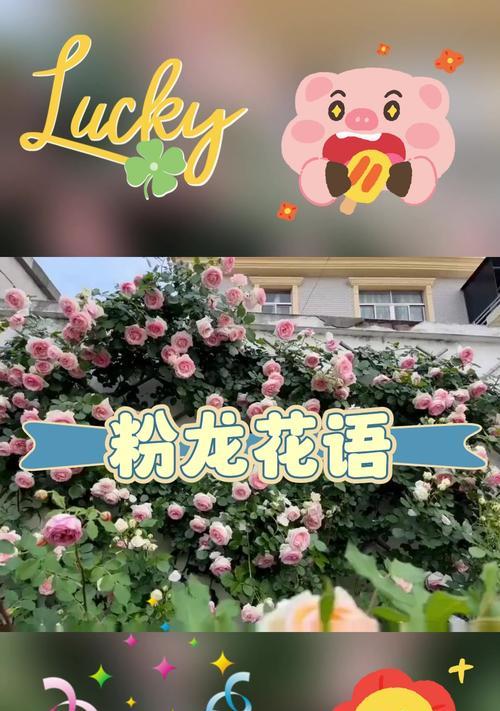 初恋花语是什么意思？哪种花象征着初恋？