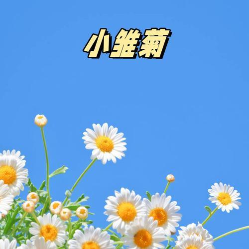 初恋花语是什么意思？哪种花象征着初恋？