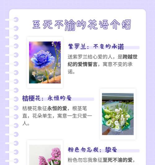 花的花语代表什么？与情感有何关联？