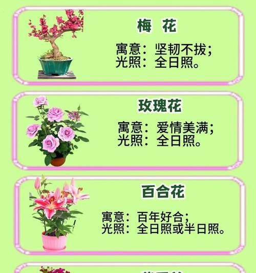 花的寓意大全有哪些？如何根据场合选择合适的花卉？
