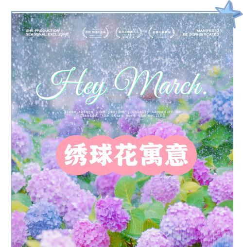 寓意回家和团聚的花卉有哪些？