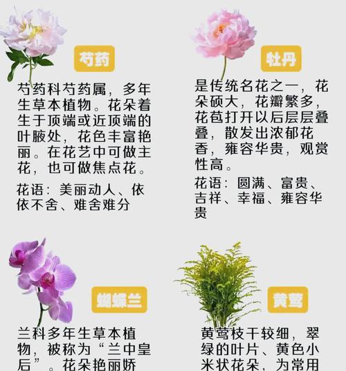 哪些花寓意好适合送给朋友？选择这些花有何技巧？