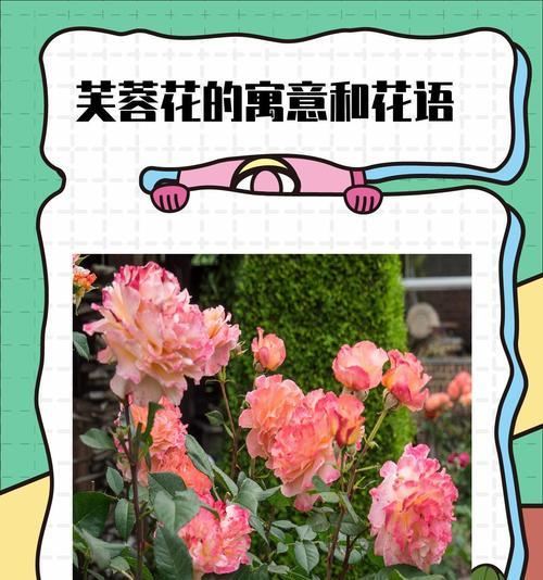 道具花的象征含义是什么？道具花在文化中的地位如何？