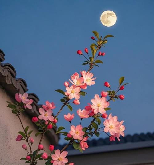 哪些花寓意月亮美好？如何用花赞美月夜？