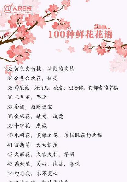 花言叶的含义和在花语中的代表意义是什么？